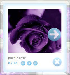 pop up using java script pop up info link